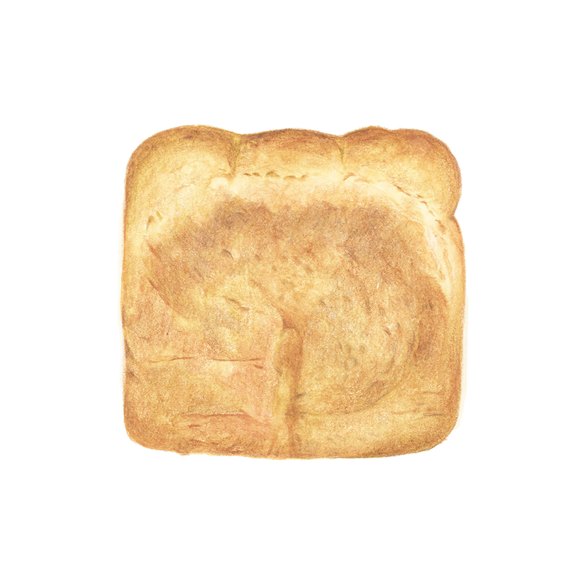 食パンイラスト