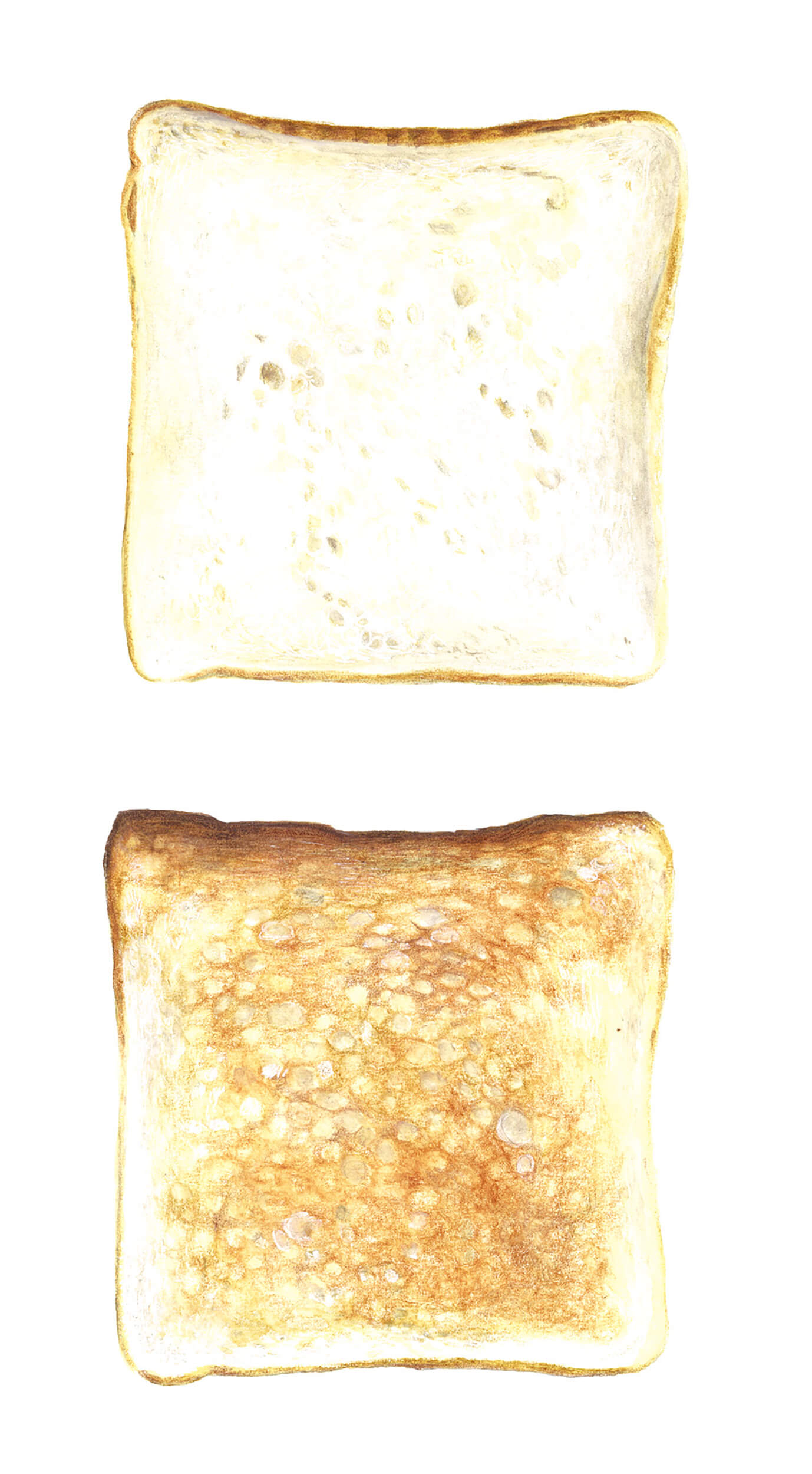 食パンイラスト